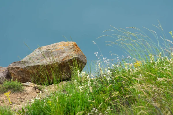 mavi gökyüzüne karşı büyük taş ve çayır çiçekleri