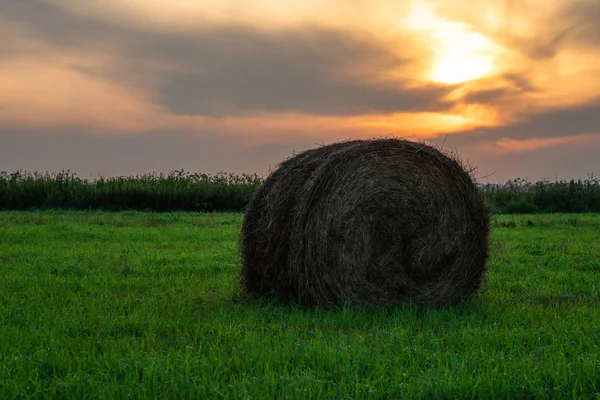 dramatik gün batımı ve sahada samanlık