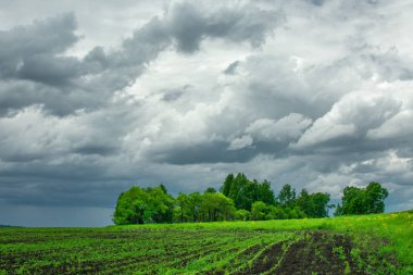 bir fırtına önce yeşil alan ve gökyüzü