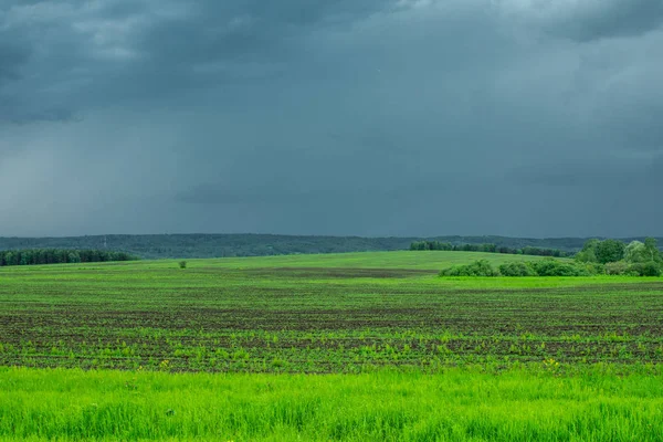 bir fırtına önce yeşil alan ve gökyüzü