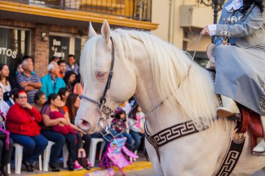 Desfile Fiestas Mexicanas