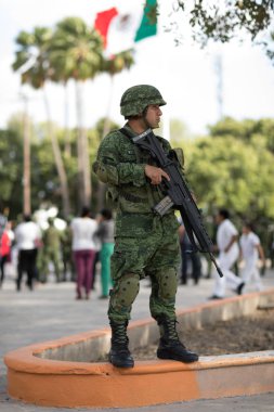 Meksika silahlı kuvvetleri