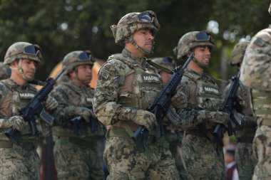 Meksika silahlı kuvvetleri