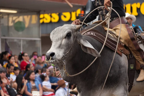 Große internationale Parade — Stockfoto