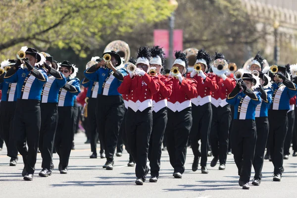 Kirschblütenparade 2018 — Stockfoto