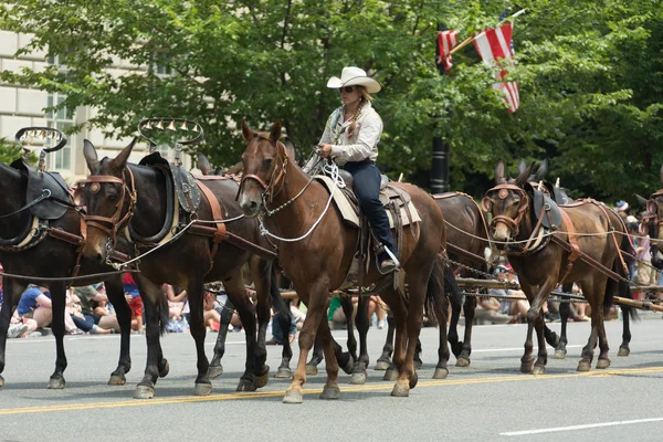 National Independence Day Parade — Stock Photo, Image