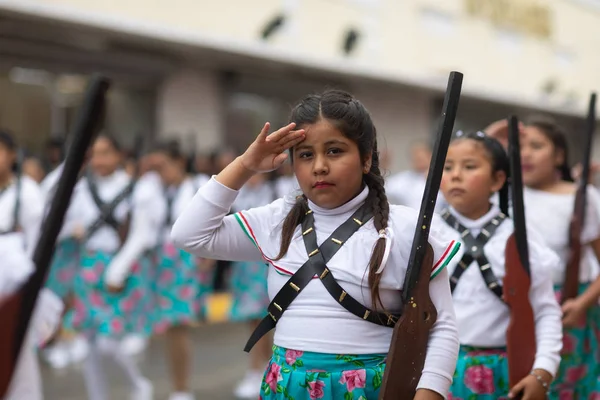 El desfile del 20 de noviembre 2018 — Foto de Stock