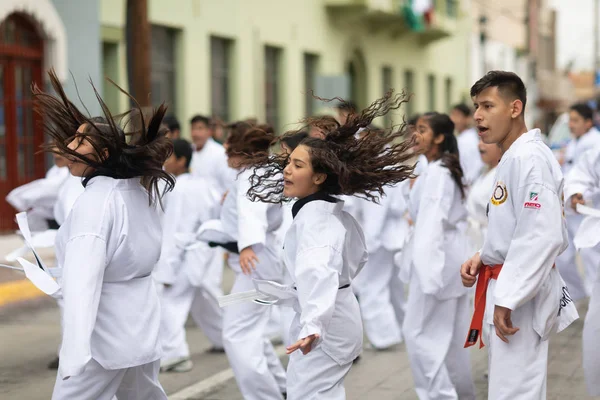 El desfile del 20 de noviembre 2018 — Foto de Stock