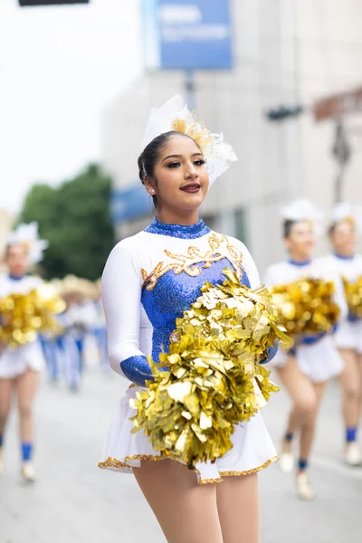 O desfile de 20 de novembro de 2018 — Fotografia de Stock