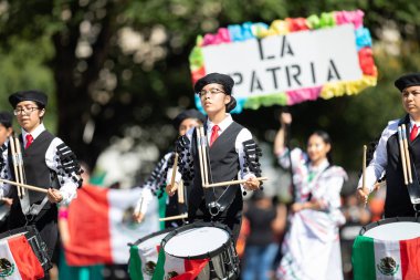 Fiesta Dc Geçit Töreni
