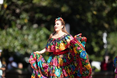 Fiesta Dc Geçit Töreni