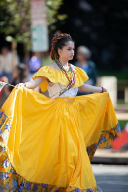 Fiesta Dc Geçit Töreni