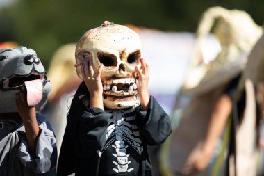 Fiesta Dc Geçit Töreni