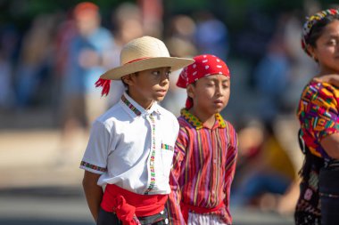 Fiesta Dc Geçit Töreni