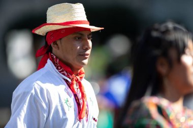 Fiesta Dc Geçit Töreni