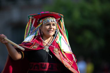 Fiesta Dc Geçit Töreni