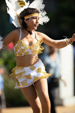 Fiesta Dc Geçit Töreni