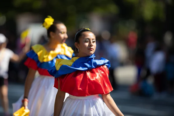 El desfile de Fiesta DC — Foto de Stock