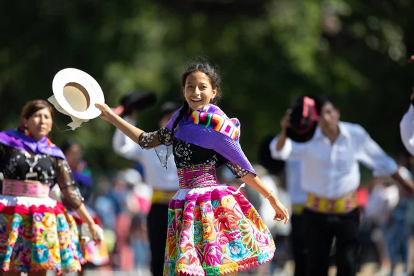 El desfile de Fiesta DC — Foto de Stock