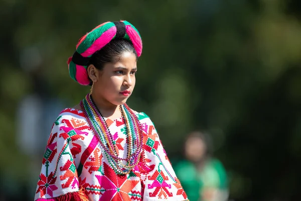 Fiesta DC Parade — Stockfoto