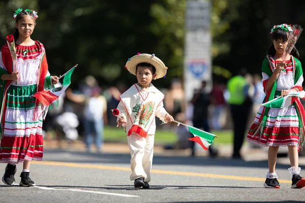 El desfile de Fiesta DC —  Fotos de Stock