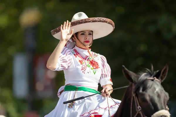 Fiesta Dc Geçit Töreni — Stok fotoğraf