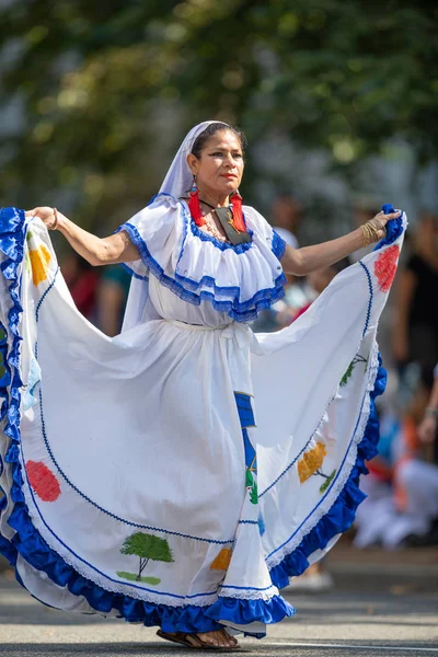 A Fiesta DC parádé — Stock Fotó