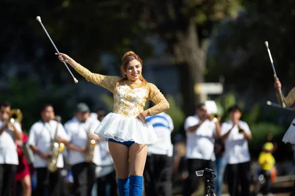 Fiesta Dc Geçit Töreni — Stok fotoğraf