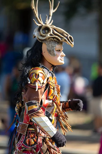 The Fiesta DC Parade — Stock Photo, Image