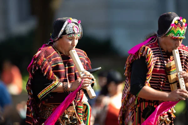 Die Fiesta dc Parade — Stockfoto