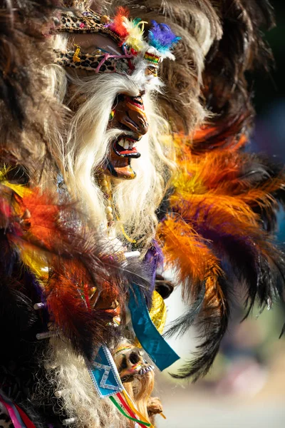 Fiesta DC Parade — Stockfoto