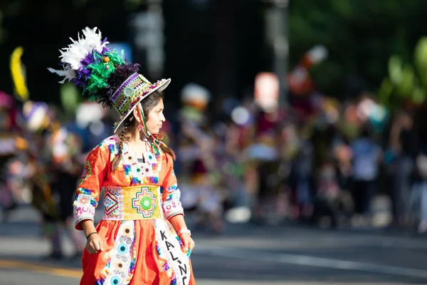 Fiesta Dc Geçit Töreni — Stok fotoğraf