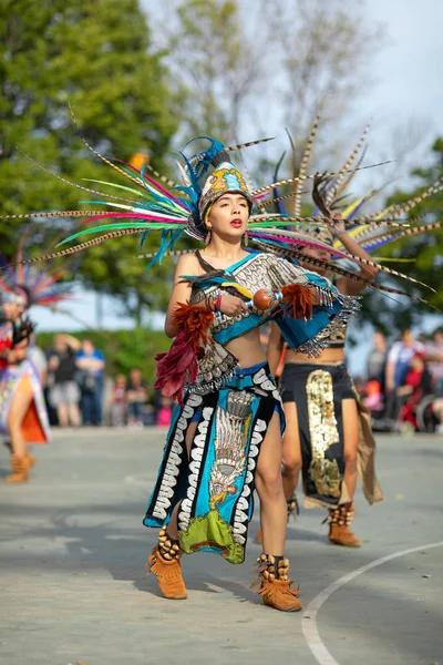 Festival estivo indiano — Foto Stock