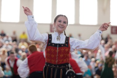 Syttende Mai Stoughton Festivali 2018