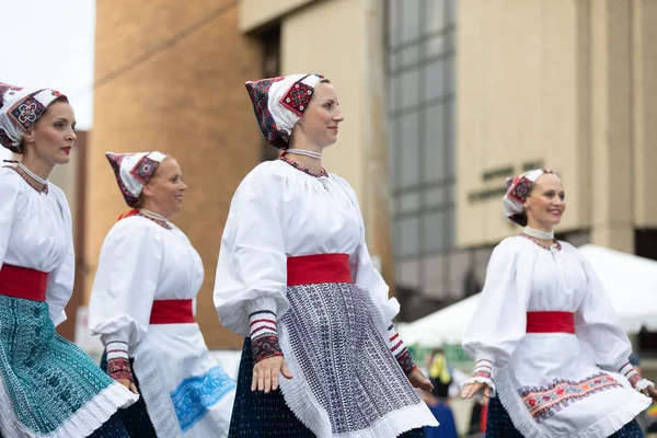 Pierogi Fest 2018 — 图库照片