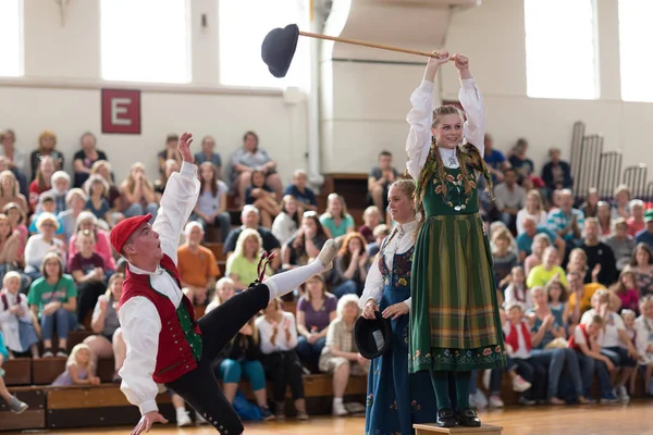 Syttende Mai Stoughton Festival 2018 — Stock Photo, Image