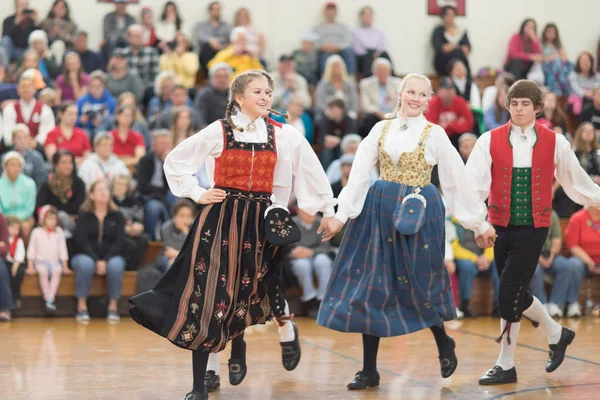 Syttende mai Stoughton fesztivál 2018 — Stock Fotó