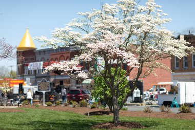 Orleans Dogwood Festivali 2018
