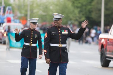 Pegasus Parade 2018