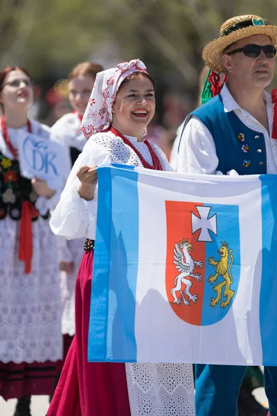 Η παρέλαση της πολωνικής μέρας για το Σύνταγμα 2018 — Φωτογραφία Αρχείου