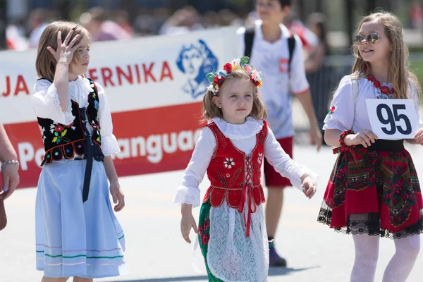 Den polské ústavy 2018 — Stock fotografie