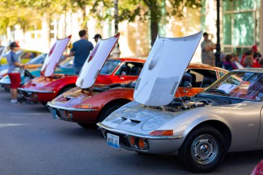 Route 66 ana yol Festivali