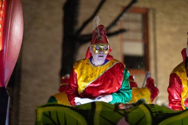 Mardi Gras Geçit Töreni New Orleans