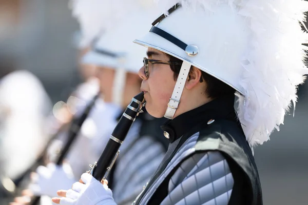 Blossomtime Festival Grand Floral Parade 2019 — Stockfoto