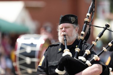 Batı Virginia Çilek Festivali 2019