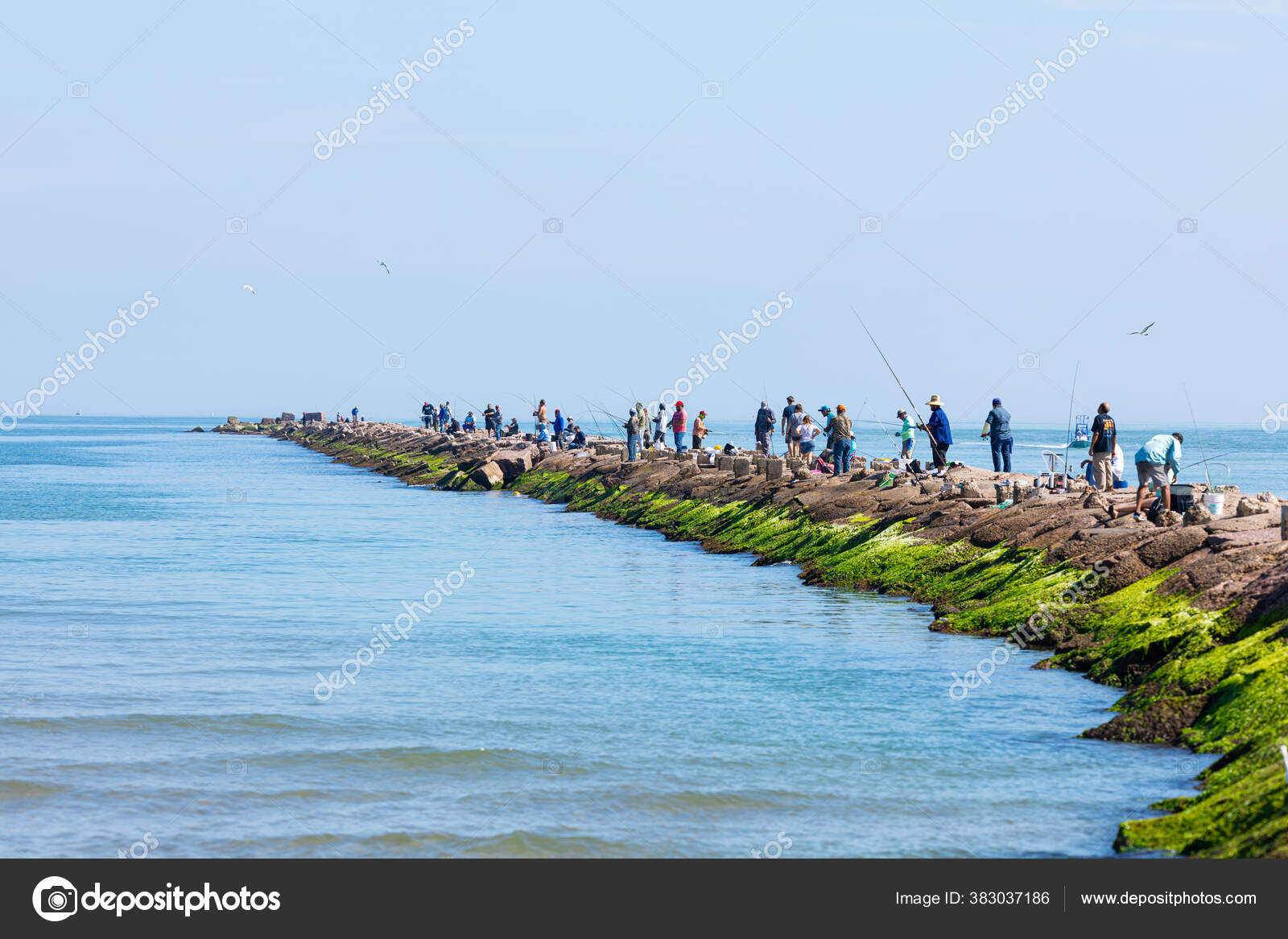 South Padre Island Texas Usa November 2019 People Fishing Breakwater — Stock  Editorial Photo © RobertoGalan #383037186