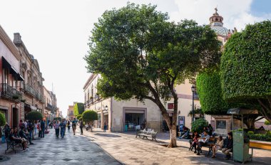 Santiago de Queretaro, Queretaro, Meksika - 24 Kasım 2019: St. Claire 'in Kutsal Yüreği Kilisesi' nin yanındaki Francisco I Madero caddesinde günün tadını çıkaran insanlar