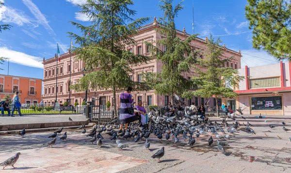 Saltillo Coahuila Mexico November 2019 Women Feeding Pigeons Plaza Armas — 图库照片