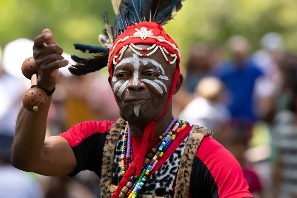 Louis Missouri Usa August 2019 Festival Nations Tower Grove Park — Stockfoto