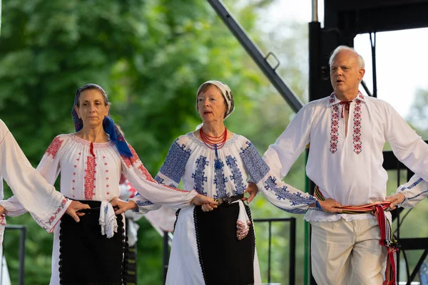 Louis Missouri Usa August 2019 Festival Nations Tower Grove Park — Stock Photo, Image